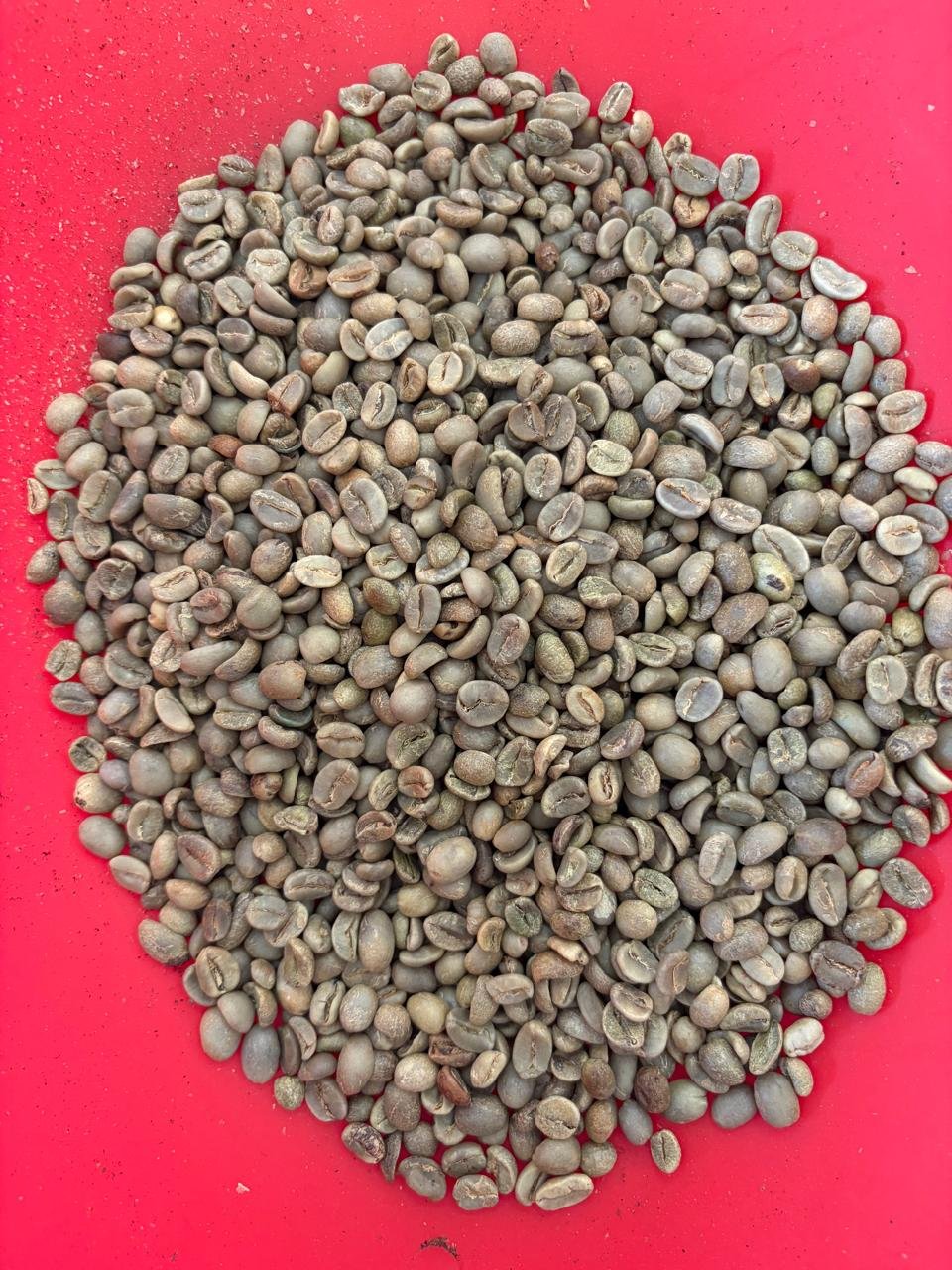 Café de Origen: Selección Natural (Micro-lote)